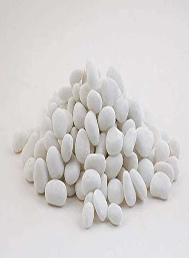 Ercole® Decorative Medium to Small Size Smooth Stone Pebble for Aquarium Fish Tank Plant Pots Garden Home Table & Outdoor Decoration (Snow White, 1 Kg)